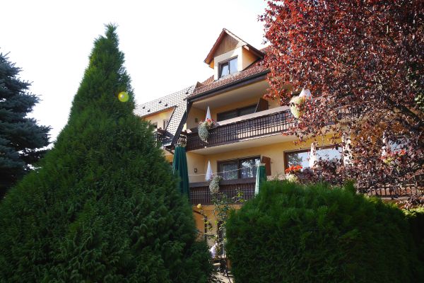 Hotel Restaurant Pflug (Oberkirch)